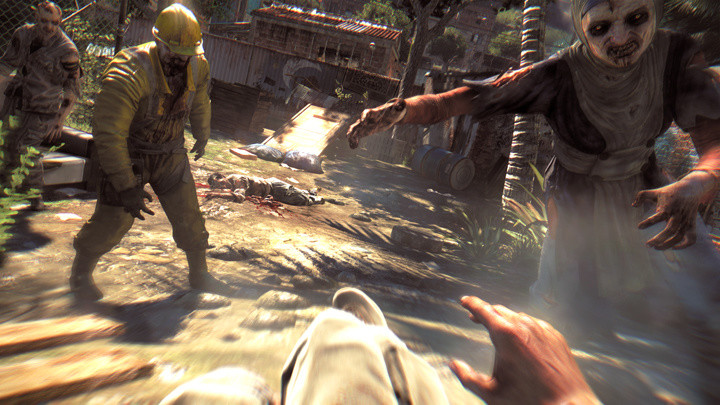 Dying Light (PC)_506472514