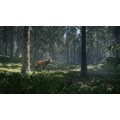 theHunter: Call of the Wild (PS4)_1178695272