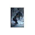 Rise of the Tomb Raider - 20 Year Celebration Edition (PS4)_1225675576