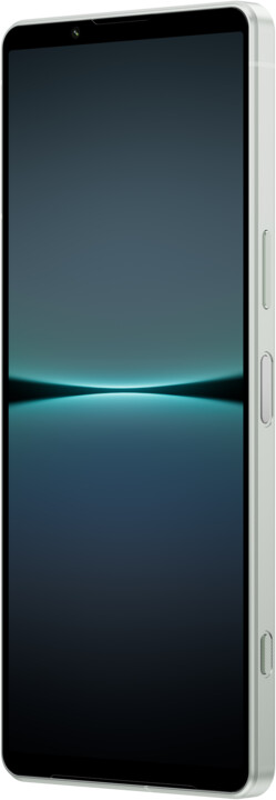 Sony Xperia 1 IV 5G, 12GB/256GB, White_1549807964