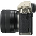 Fujifilm X-T100 + XC15-45mm F3.5-5.6 OIS PZ, zlatá_466631201