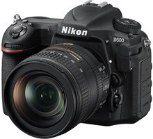 Nikon D500 + 16-80 f/2.8-4E ED VR_1346159017