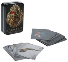 Hrací karty Harry Potter - Hogwarts, 54 karet PP11186HP