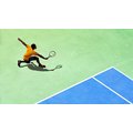 Tennis World Tour - Legends Edition (PS4)_939584588