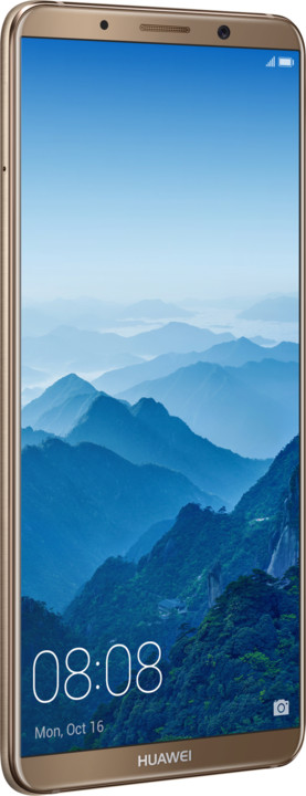 Huawei Mate 10 Pro, Dual Sim, hnědá_1759044379