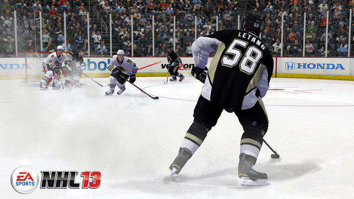 NHL 13 (PS3)_446610016
