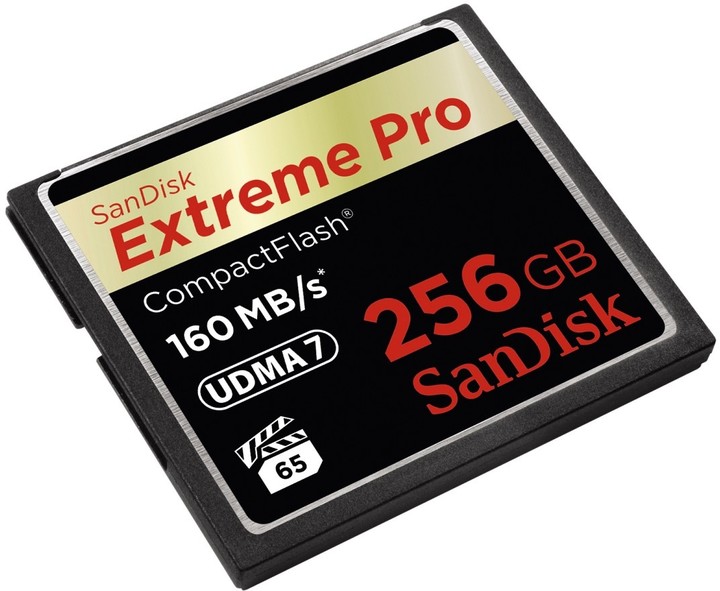 SanDisk CompactFlash Extreme Pro 256GB 160MB/s_1833599215