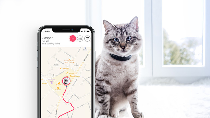 Tractive GPS obojek pro kočky_17414481