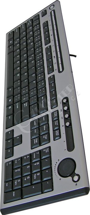 Chicony KU-0420 multimedia, USB, CZ/US stříbrná/černá_484628560