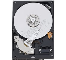 WD RE3 - 320GB_1219337470
