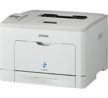 Epson WorkForce AL-M300D_172350906