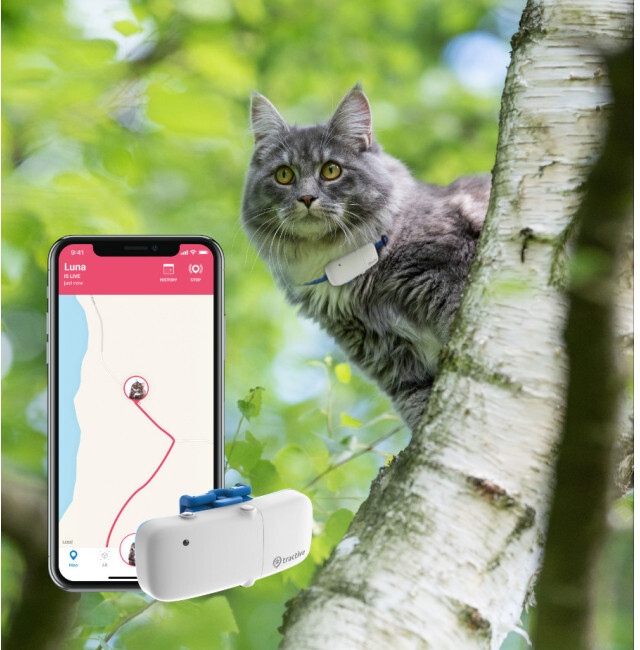 Tractive GPS Tracker pro kočky_1241084886
