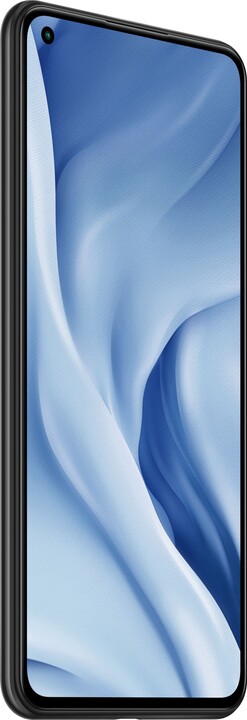 Xiaomi Mi 11 Lite 5G, 6GB/128GB, Truffle Black_490644313