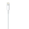 Apple kabel USB-A - Lightning, M/M, nabíjecí, datový, 1m, bílá_1527007120