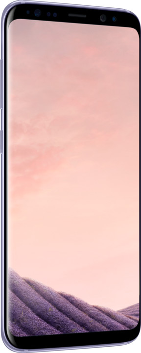 Samsung Galaxy S8, 64GB, šedá_238370616