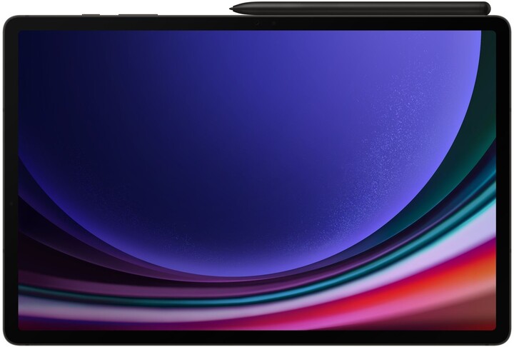 Samsung Galaxy Tab S9 Ultra 5G, 12GB/512GB, Gray_606948279