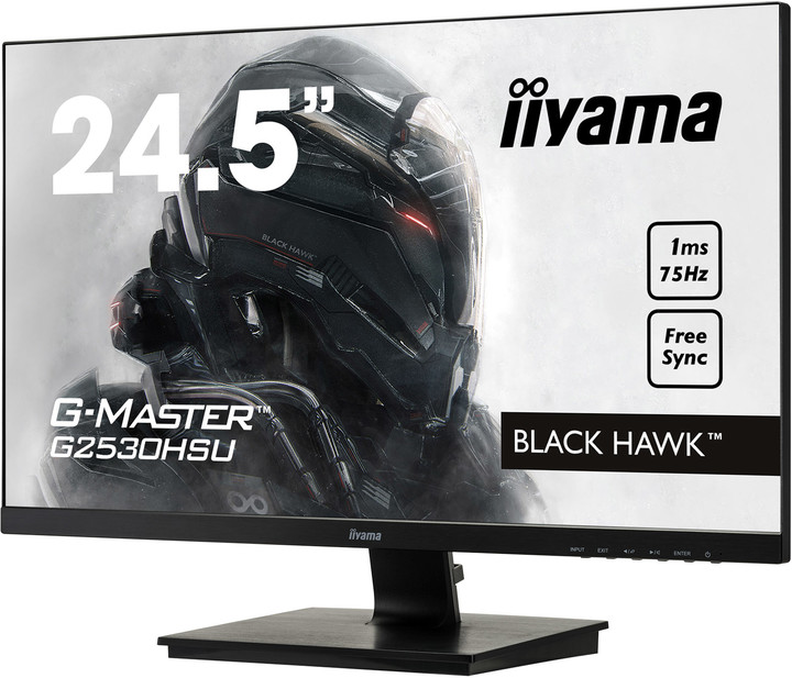 iiyama G-Master G2530HSU-B1 - LED monitor 25&quot;_1815078705