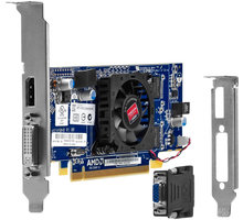 HP AMD Radeon HD 7450 1GB_520500383