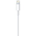 Apple datový kabel iPhone X Lightning, bílá (Bulk)_1480216540