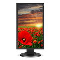 NEC MultiSync E201W, černá - LED monitor 20&quot;_414289275