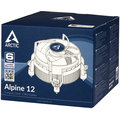Arctic Alpine 12_100978797