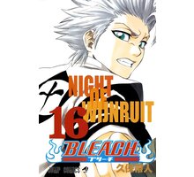 Komiks Bleach - Night of Wijnruit, 16.díl, manga