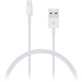 CONNECT IT Wirez Apple Lightning USB, 2m, bílá_1148467237