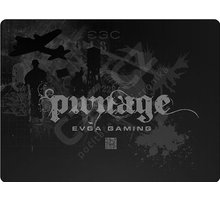 EVGA Gaming Surface - pwnage!_184543112