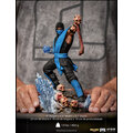 Figurka Iron Studios Mortal Kombat - Sub-Zero Art Scale, 1/10_627413341