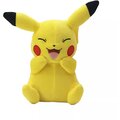Plyšák Pokémon - Pikachu (20 cm)_1680510665