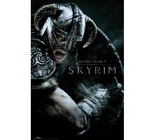 Plakát Skyrim - Attack_1433447055