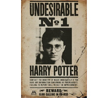 Plakát Harry Potter - Harry Potter - Undesirable No 1_305412299