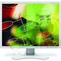 NEC 2090UXi - LCD monitor monitor 20&quot;_98941525