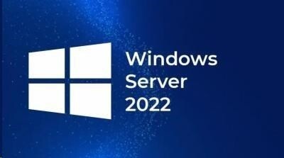 Fujitsu Windows 2022 - WINSVR CAL 10 User - OEM_1513470771