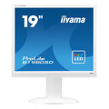 iiyama ProLite B1980SD-W1 - LED monitor 19&quot;_298436037