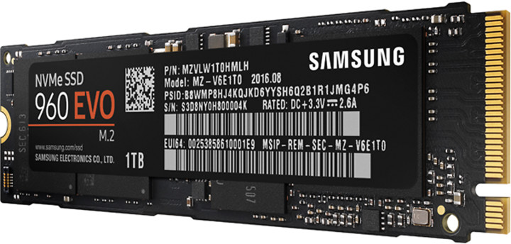 Samsung SSD 960 EVO (M.2) - 1TB_1032941970