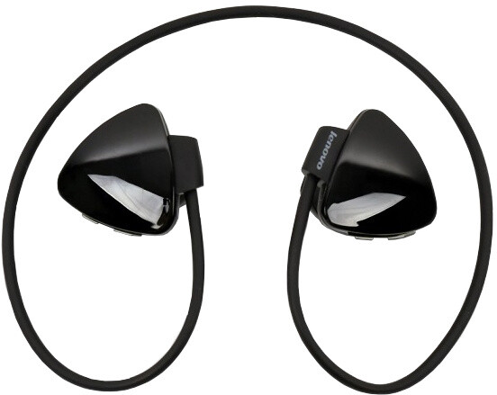 Lenovo Bluetooth Headset W520, černá_1687735609