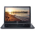 Acer Aspire E1-510-29202G50Mnkk, černá_429524867