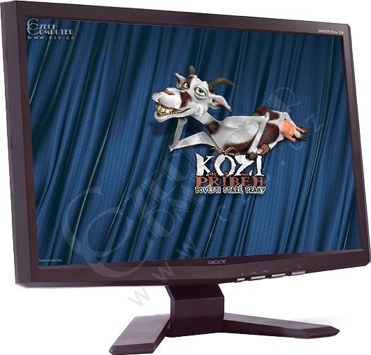 Acer X223WQb - LCD monitor 22&quot;_854020653