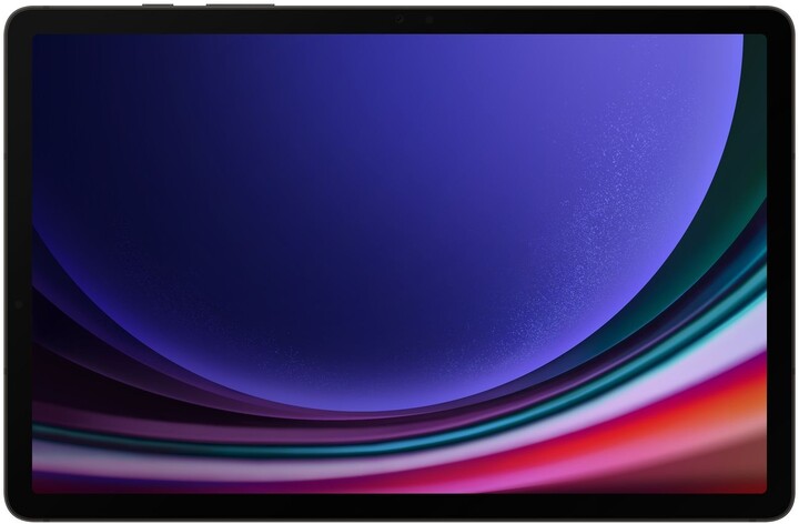 Samsung Galaxy Tab S9 5G, 12GB/256GB, Gray_1390644503