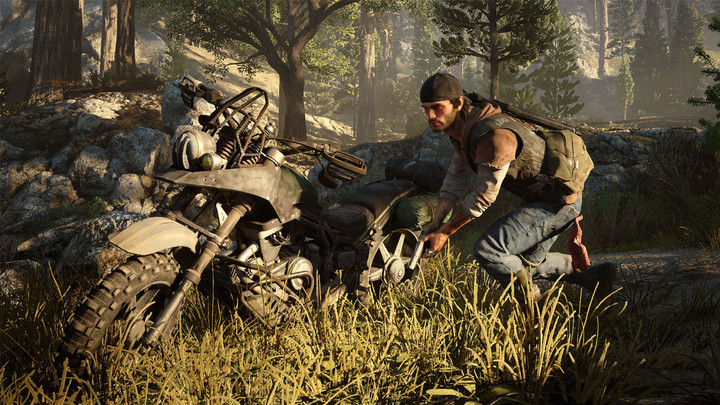 Days Gone (PS4)_1937415375