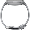 Google Fitbit Versa (NFC) - Gray / Silver Aluminum_463112147