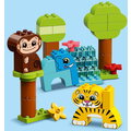 LEGO® DUPLO® 10934 Zvířátka - kreativní sada_522484489