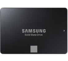 Samsung SSD 750 EVO - 250GB_973291574