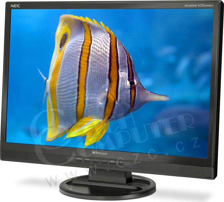 NEC AccuSync 22WMGX - LCD monitor 22&quot;_1102970111