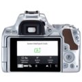 Canon EOS 250D + 18-55mm IS STM, stříbrná_485263149
