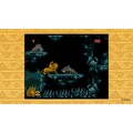 Disney Classic Games: Aladdin &amp; The Lion King (SWITCH)_209684061