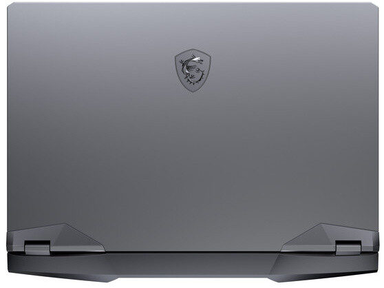 MSI GE66 Raider 10SGS-411CZ, černá-šedá_88810769