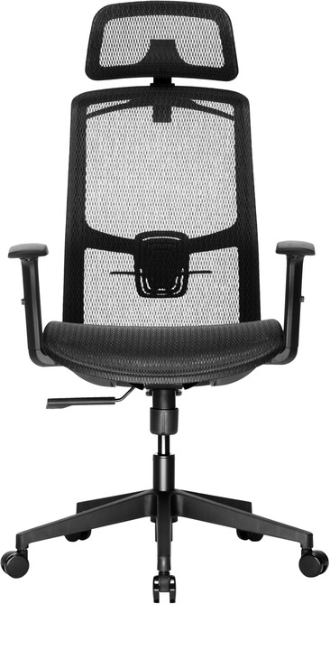 CZC.Office Torus Two, kancelářská židle, ergonomická_109814879