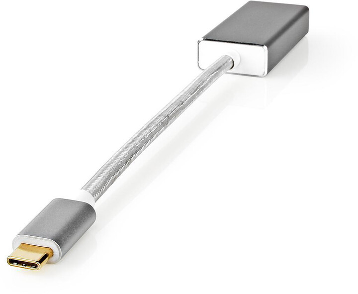 Nedis adaptér USB-C - DisplayPort, stříbrná_1762099009